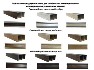 Направляющие двухполосные для шкафа купе ламинированные, шпонированные, крашенные эмалью Петропавловск-Камчатский
